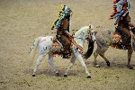 Quadrille - 00178